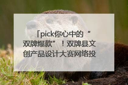 pick你心中的“双牌爆款”！双牌县文创产品设计大赛网络投票评选火热进行中
